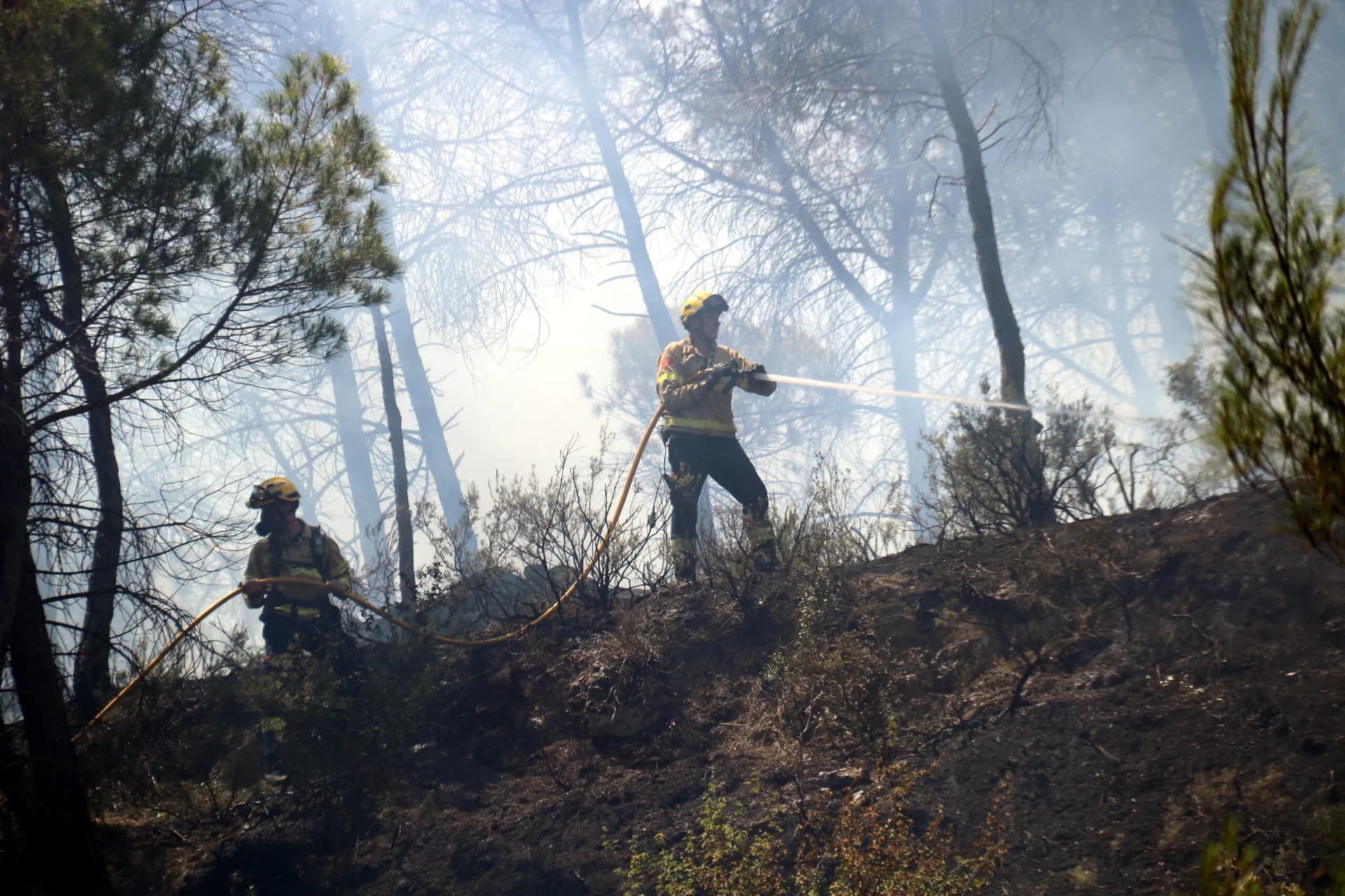 Bombers treballant en un incendi forestal entre la Pobla de Claramunt i Igualada